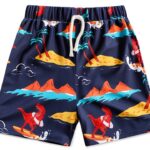 Toddler Boy Swim Trunks Dinosaur Navy Shark Beach Shorts-0